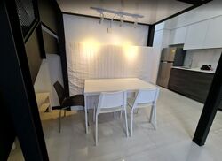 Sims Urban Oasis (D14), Condominium #560253181